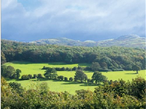 The Druid Inn Llanferres 外观 照片